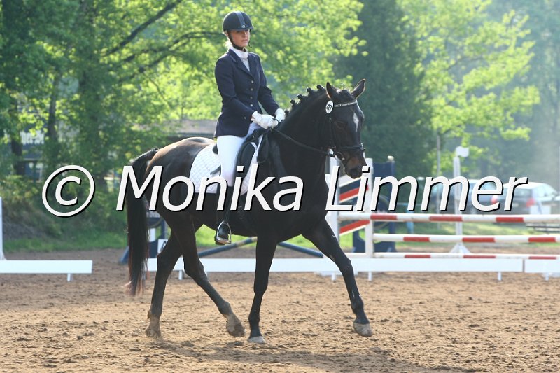 104M4953_Rocco_Dressur E.JPG